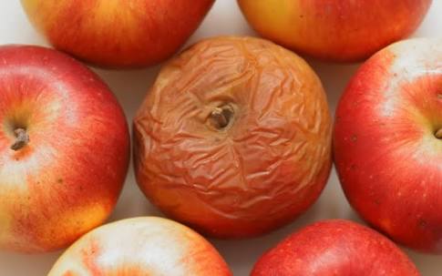 Are you compromising your destiny for company?