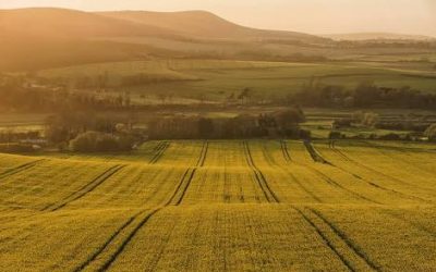 God’s Choice – the Best Choice!