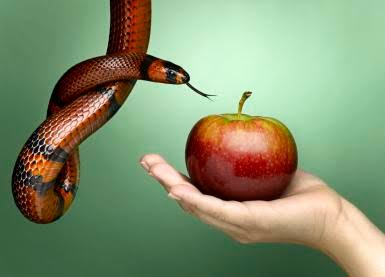 Help, I Am Getting Tempted! (Part 1)