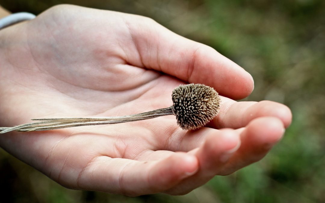 My God is Not a Dream Killer!