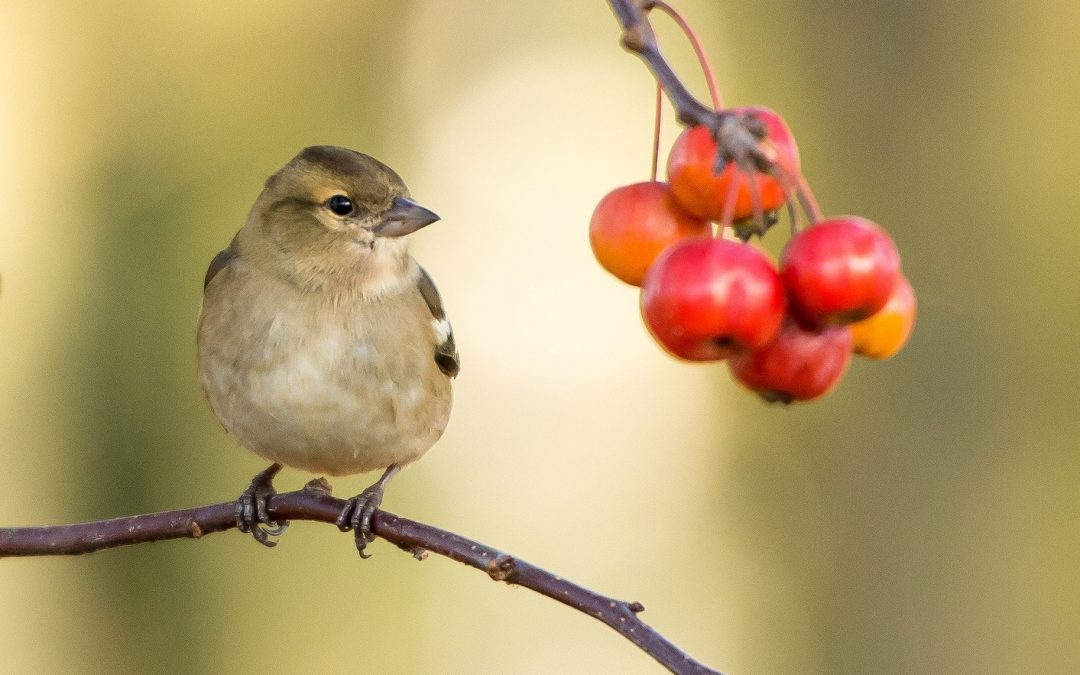 Are You Still Worrying?