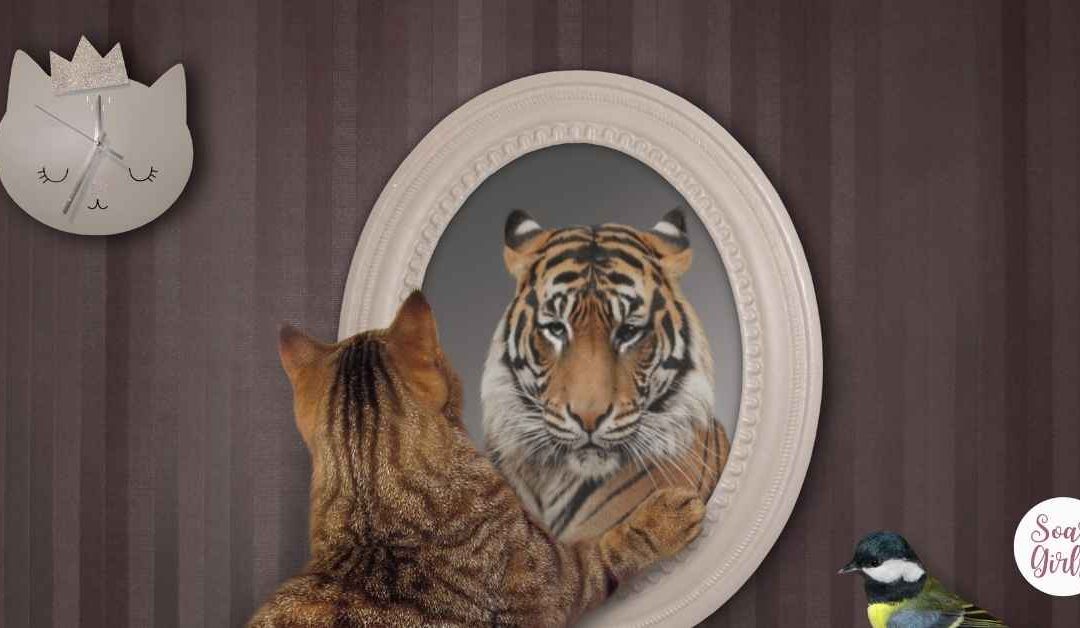 Don’t Give Up On Me