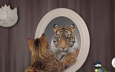 Don’t Give Up On Me