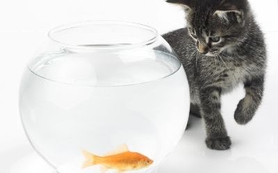 Help, I Am Getting Tempted! (Part 1) + FREEBIE