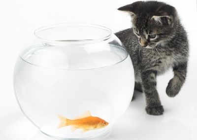 Help, I Am Getting Tempted! (Part 1) + FREEBIE