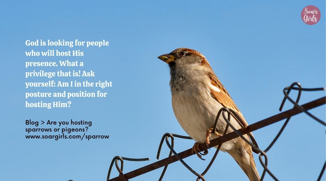 #sparrows