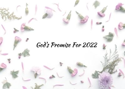 God’s Promise for 2022 + Our Top Posts