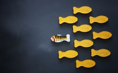 Part 2: Here’s How To Get The Right Attention!