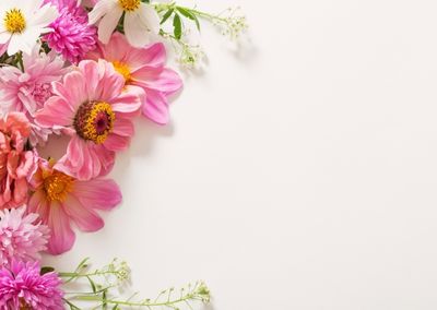 God’s Plan to Save, Protect and Flourish YOU!