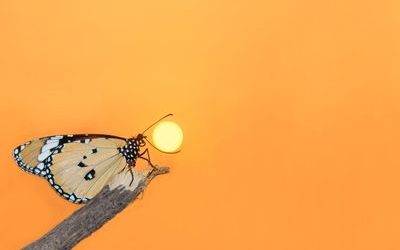 When God Gives You A Big Dream! 💭