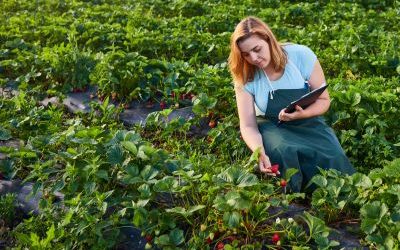 Throwing Fruits at the Face of Evil 🍊