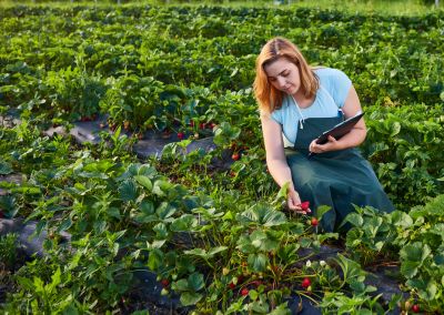 Throwing Fruits at the Face of Evil 🍊