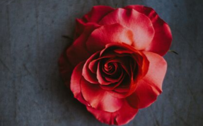 How To Confirm If He Is The One For Me? (ebook)